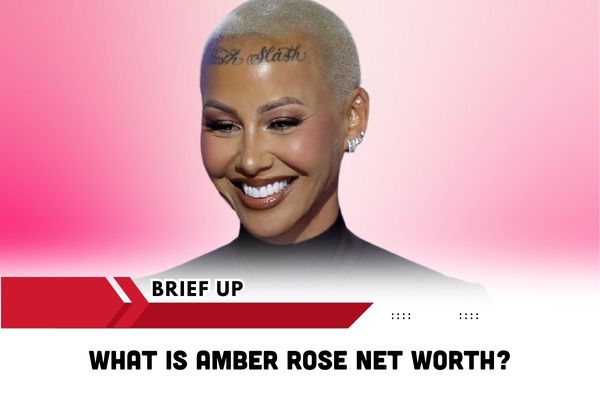 What Is Amber Rose Net Worth