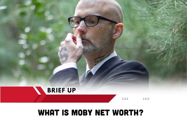 What is Moby Net Worth